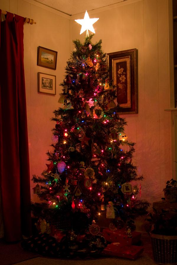 Christmas Tree 2008