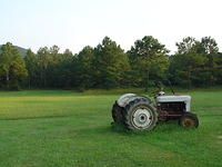 Tractor and Trees