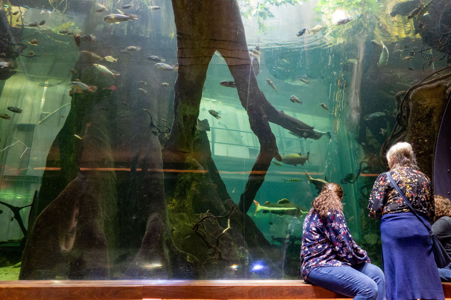 Gulf of the Farallones Aquarium