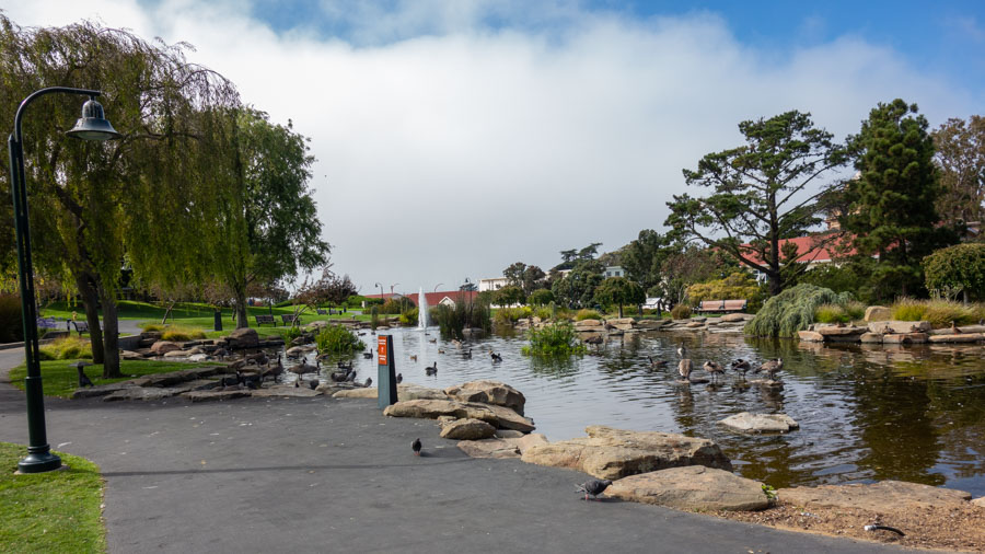 Letterman Digital Arts Center Recycled Water Pond