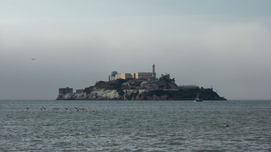 Alcatraz from Pier 41