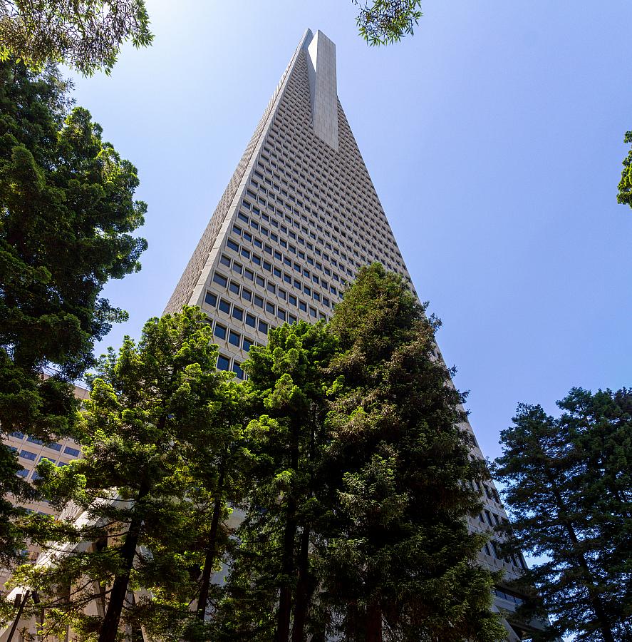 IMG 9725-Pano
