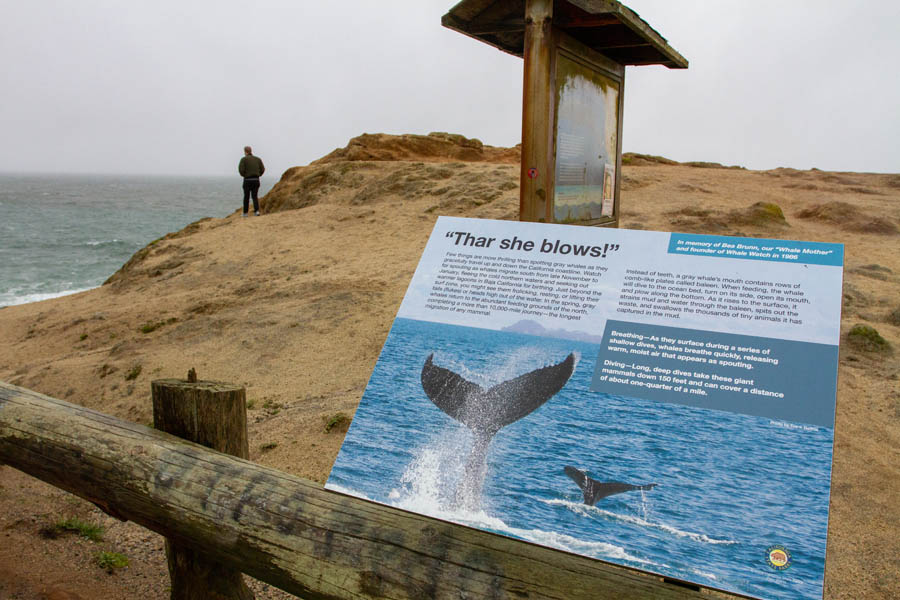 Bodega Bay