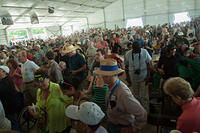 Jazz Tent crowd for Marsalis