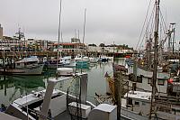 IMG 0174