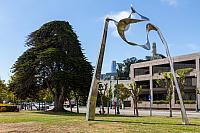 IMG 0230