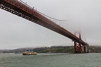 IMG 0505