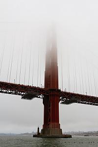 IMG 0541