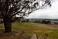 IMG 0925