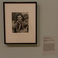 IMG 8452