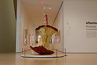 IMG 8505