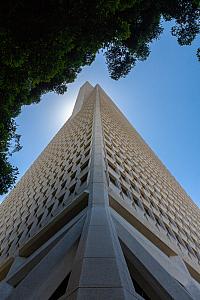 IMG 9656