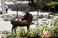 IMG 9711