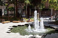IMG 9715