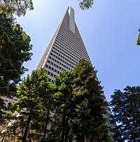 IMG 9725-Pano