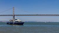 IMG 9798