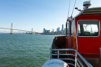IMG 9942