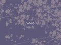 Vaio - Artist Volume 2 - August