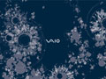 Vaio - Artist Volume 3 - September