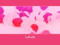 Vaio - C Series - Pink