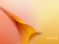 Vaio - Cozy Orange
