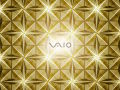 Vaio - CR Series - Champagne Gold