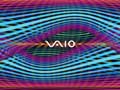 Vaio - Current