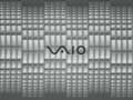 Vaio - Veins