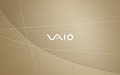 VAIO 2025 Wallpaper